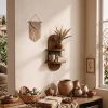 2 Tier Rustic Wooden Wall Mounted Plant Shelf, Floating Flower Pot Display Rack, Farmhouse Storage Organizer for Kitchen, Living Room, Bedroom